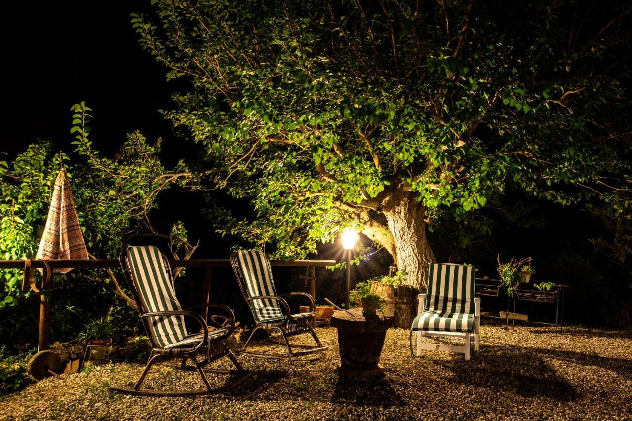 Bed and Breakfast Casale San Martino à Laureana Cilento Extérieur photo