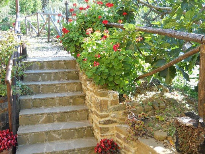 Bed and Breakfast Casale San Martino à Laureana Cilento Extérieur photo