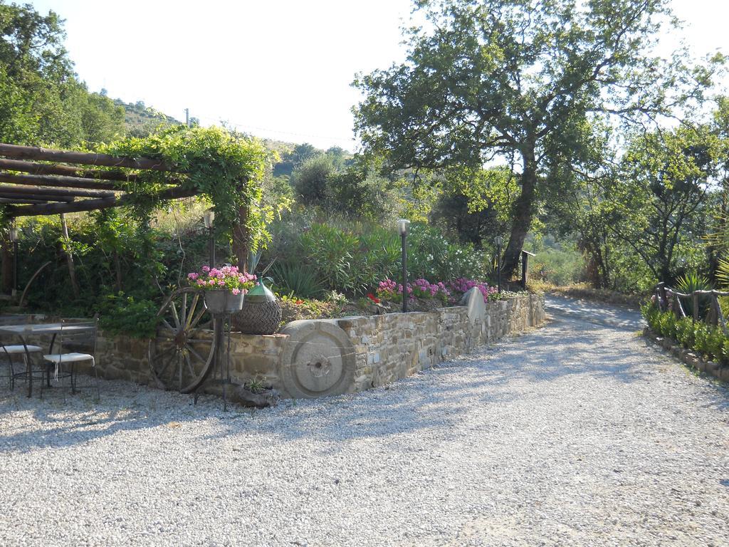 Bed and Breakfast Casale San Martino à Laureana Cilento Extérieur photo