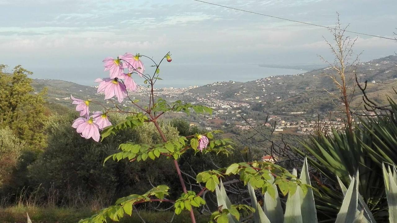 Bed and Breakfast Casale San Martino à Laureana Cilento Extérieur photo