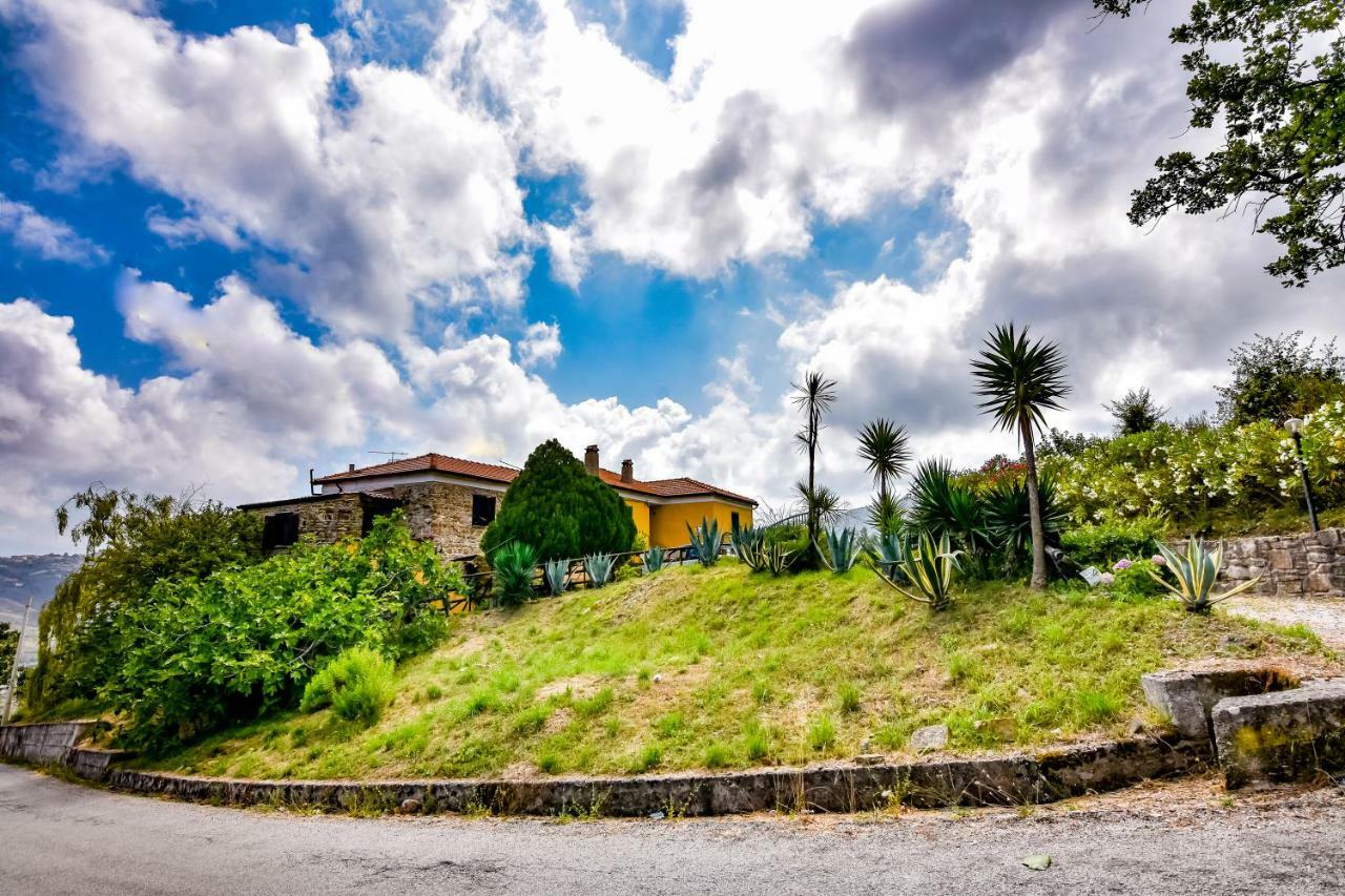 Bed and Breakfast Casale San Martino à Laureana Cilento Extérieur photo
