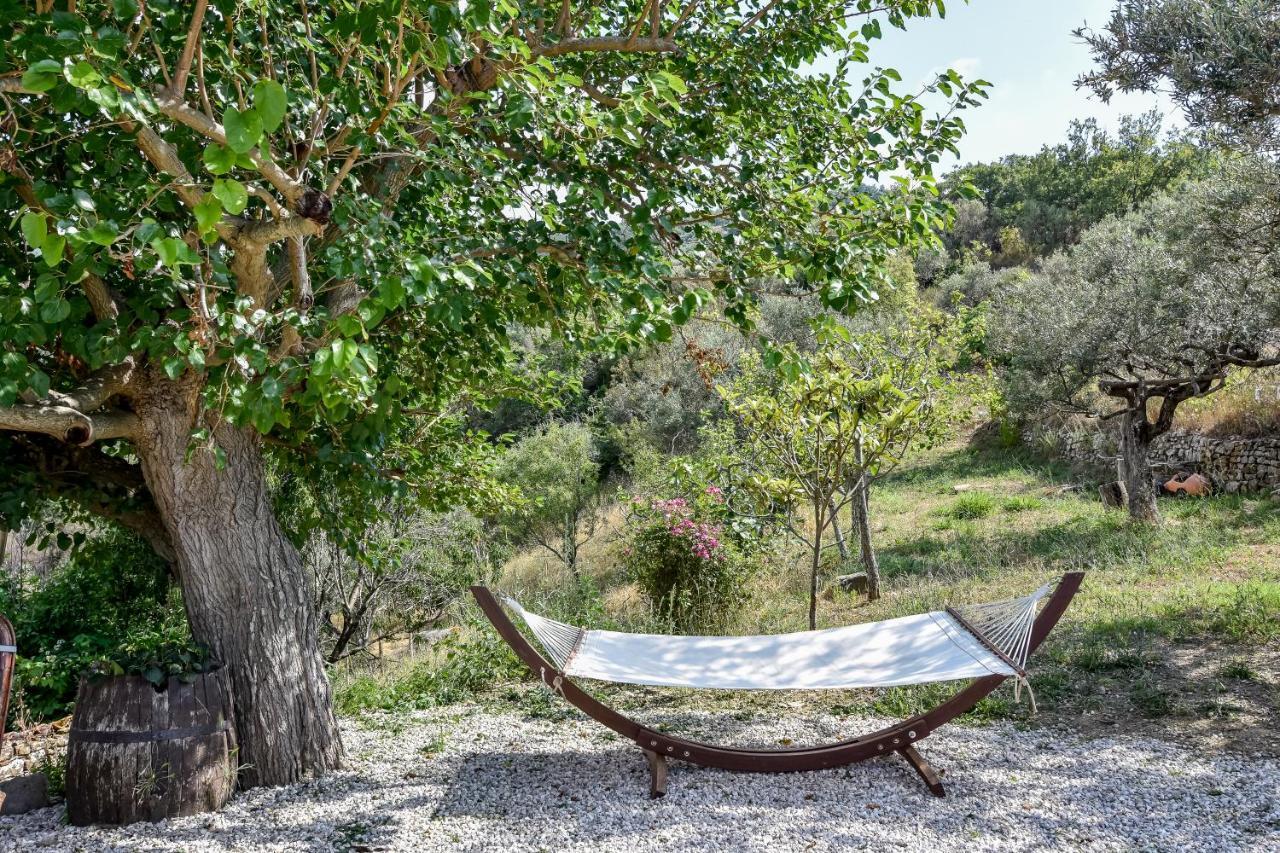 Bed and Breakfast Casale San Martino à Laureana Cilento Extérieur photo